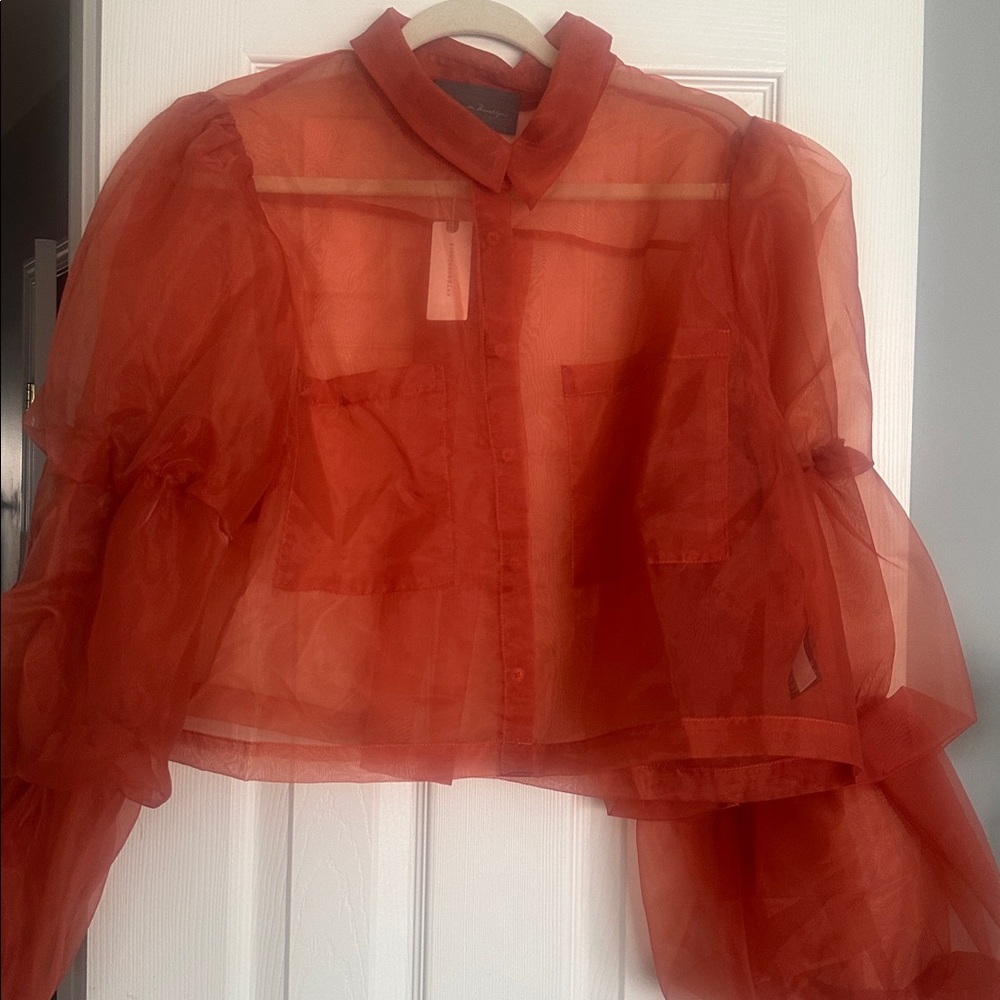 Anthropologie Sunday in Brooklyn Sheer Puff-Sleeve Buttondown Shirt - Picture 3 of 6